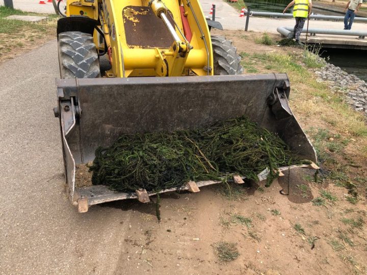 66764809_466972457213576_1215319575462150144_n