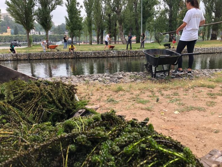 67072790_716808755445699_5763925507997433856_n