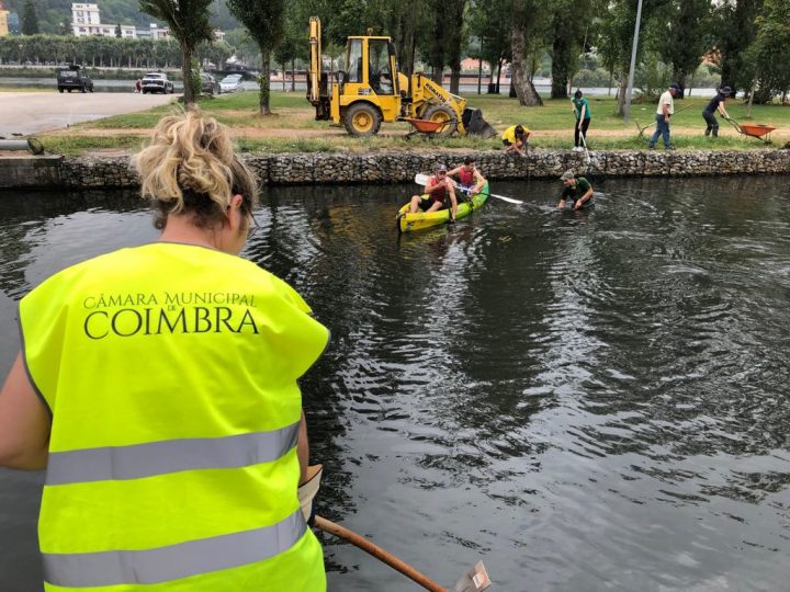 67291005_842955406086180_5297235856262692864_n