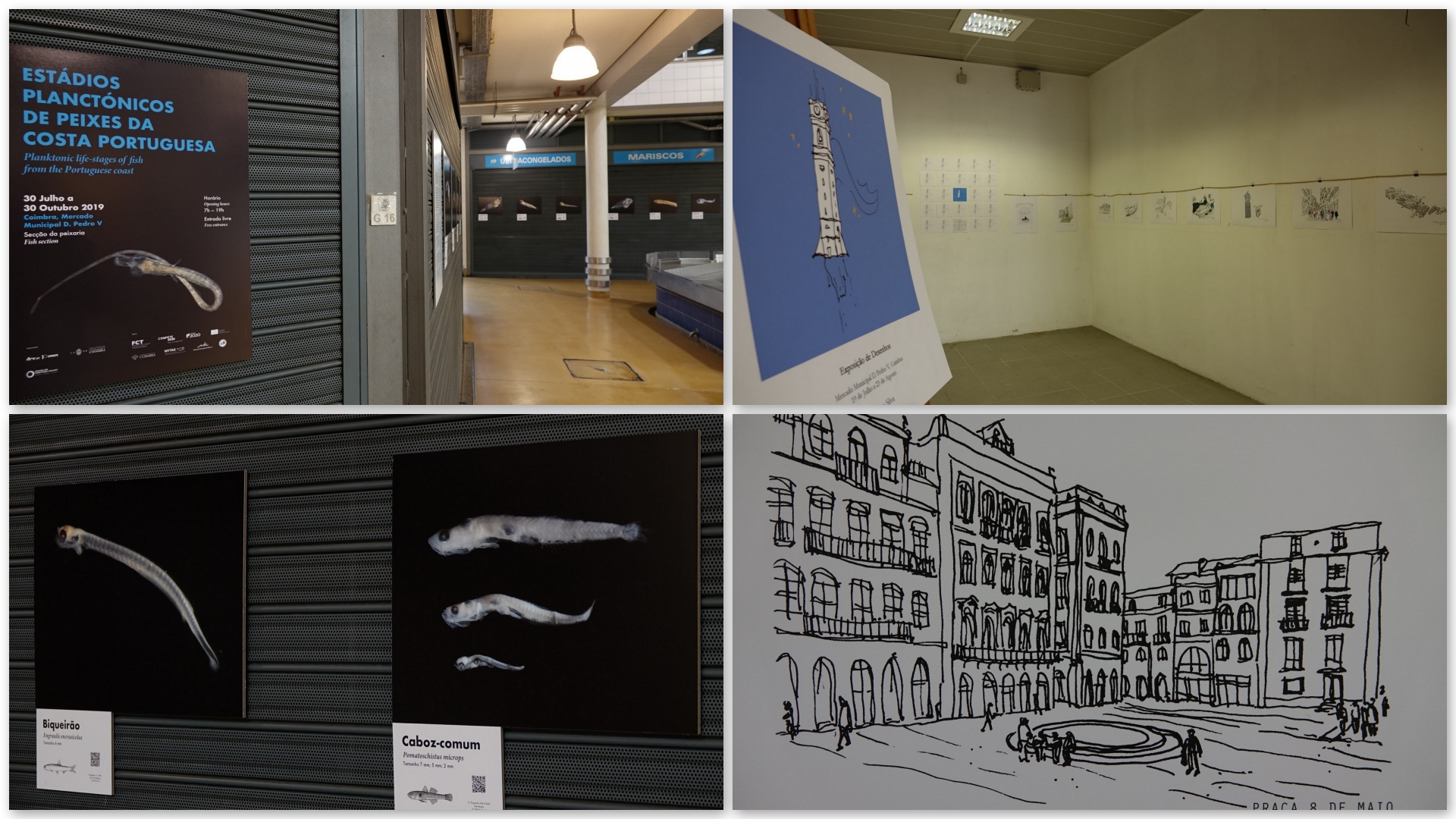 Exposições de fotografia e desenho podem ser visitadas gratuitamente no Mercado Municipal D. Pedro V