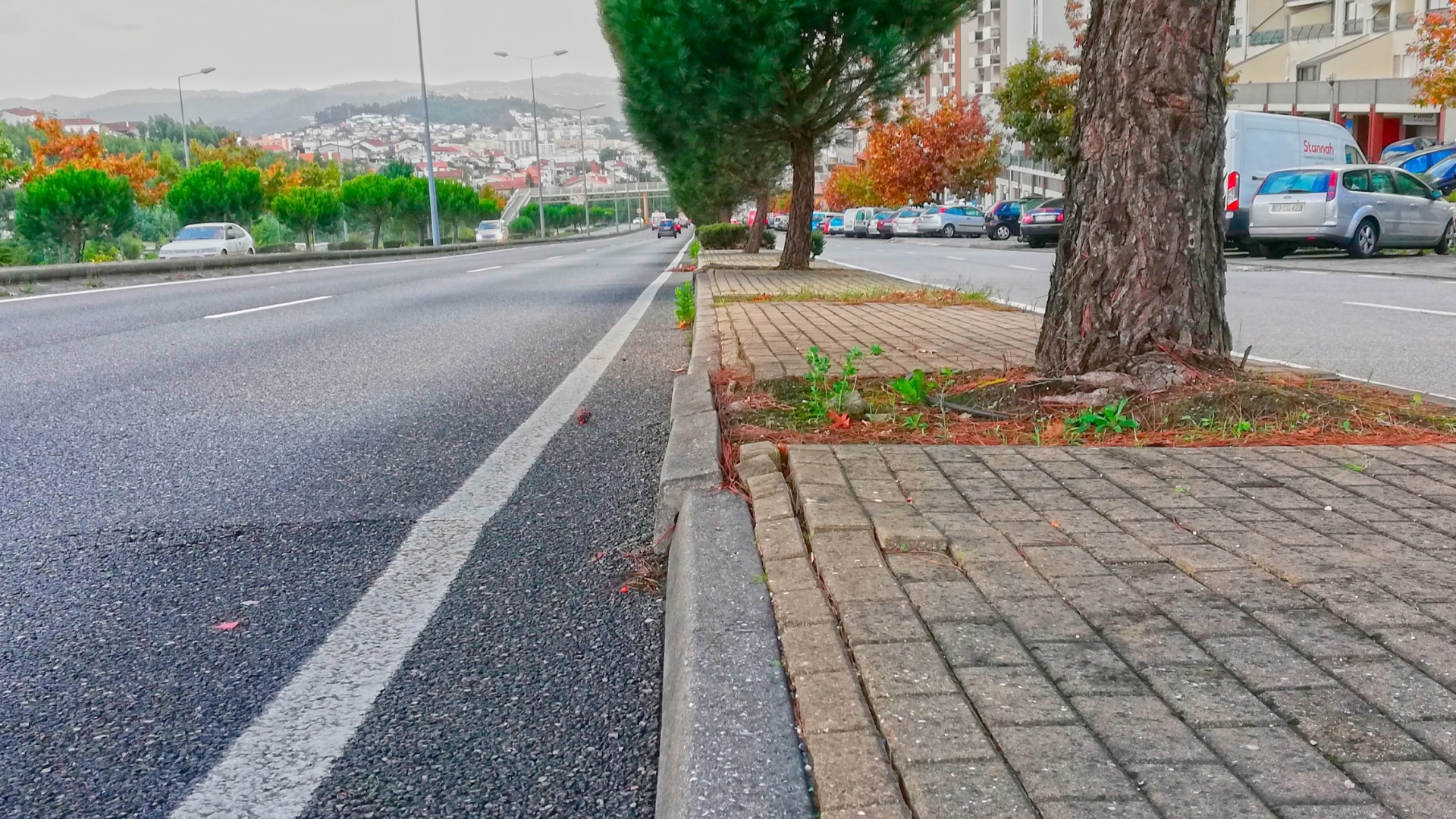 Av. Elísio de Moura vai ser requalificada para ser mais verde e segura