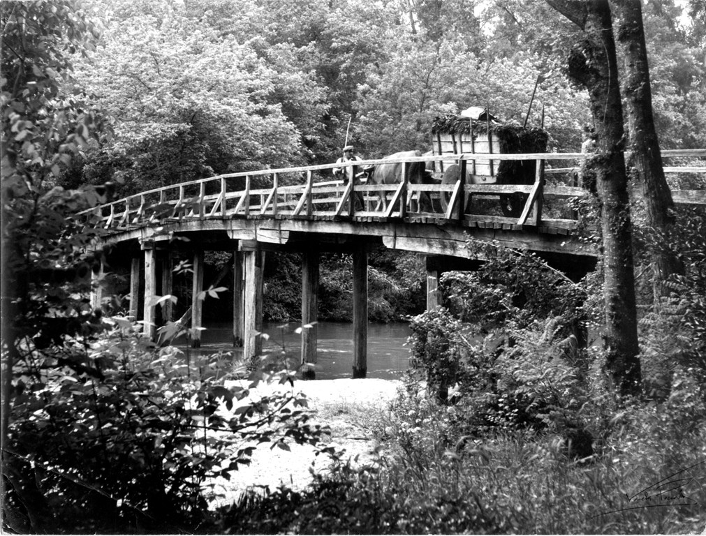 Fotografias de Varela Pècurto doadas a Coimbra em exposição na Casa Municipal da Cultura