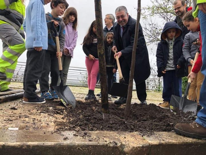 80595007_10221510957662637_1777315191445258240_n