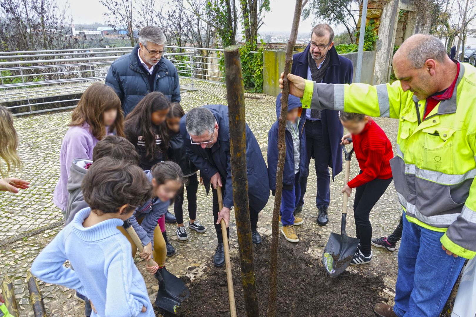 Câmara planta mais de quatro centenas de árvores até ao final de 2019