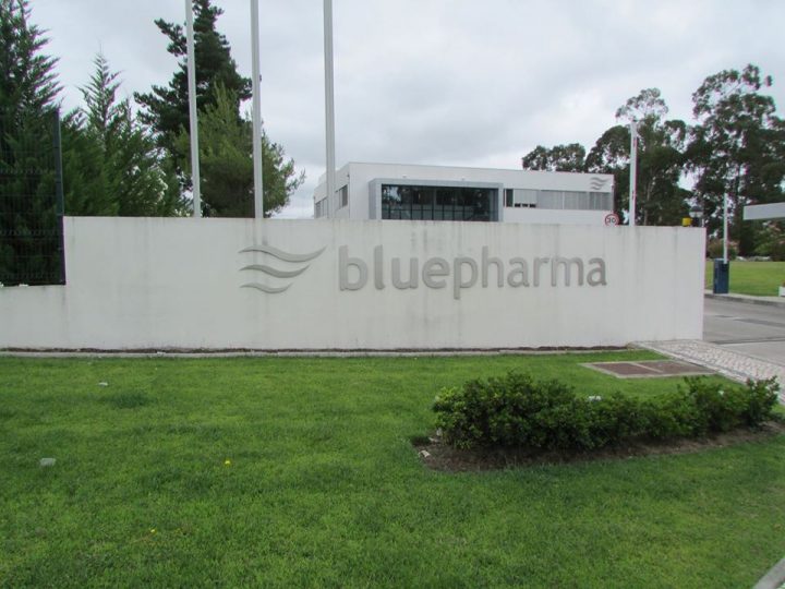 bluepharma (1)