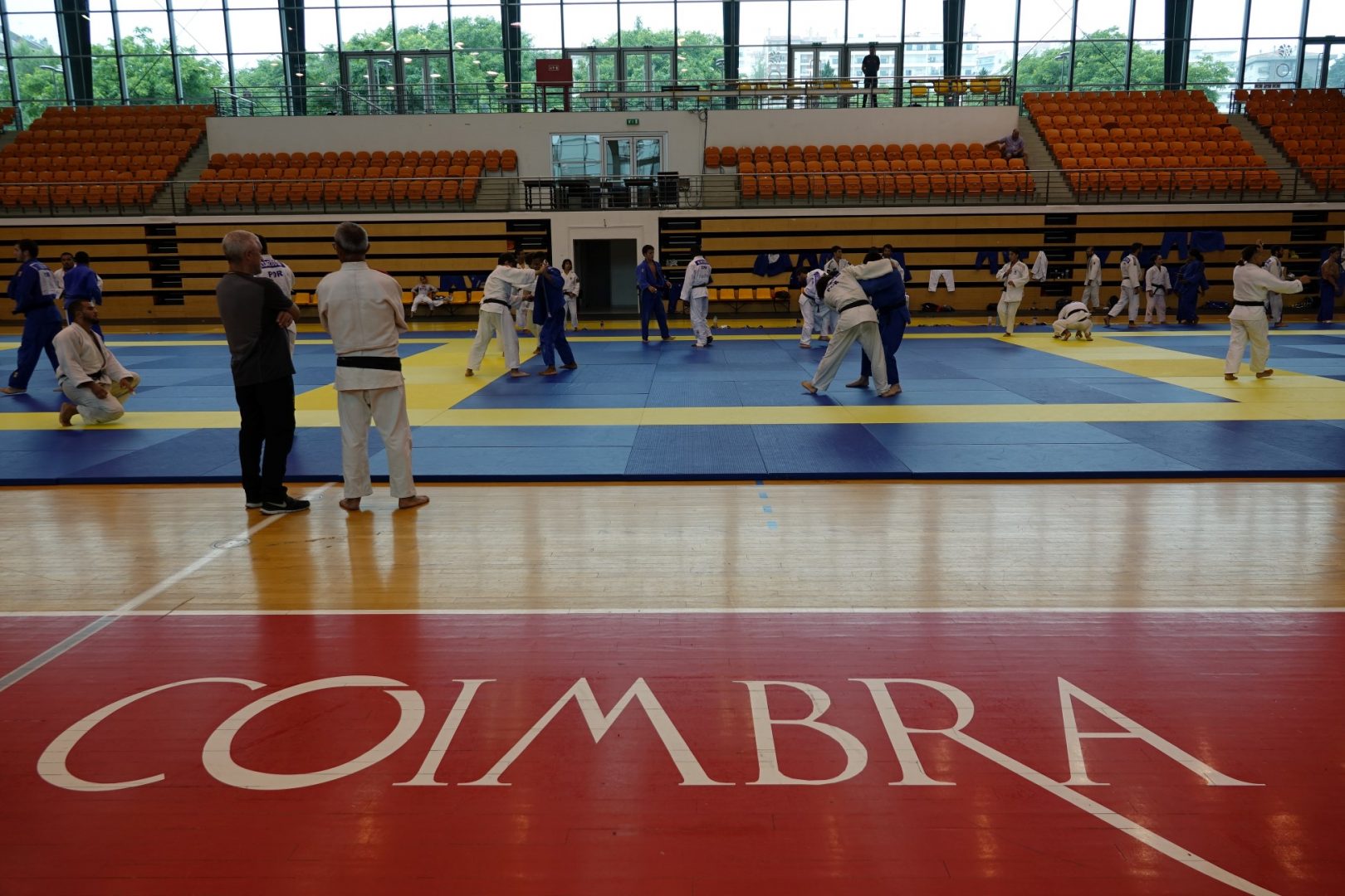 Reabilitação do pavimento do Pavilhão Municipal Multidesportos Mário Mexia está em concurso público