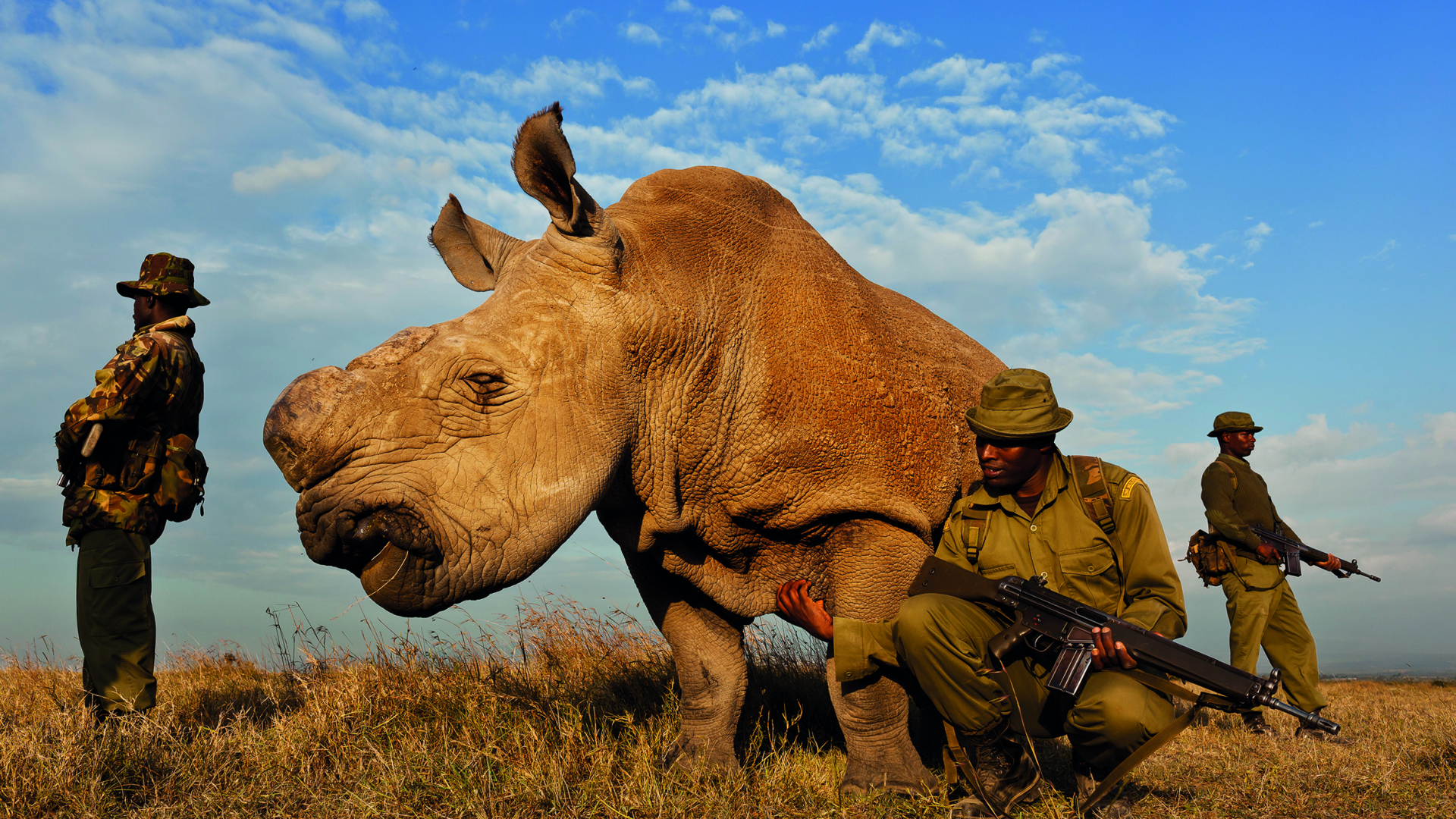 Prémio Estação Imagem arranca amanhã com oito exposições em Coimbra