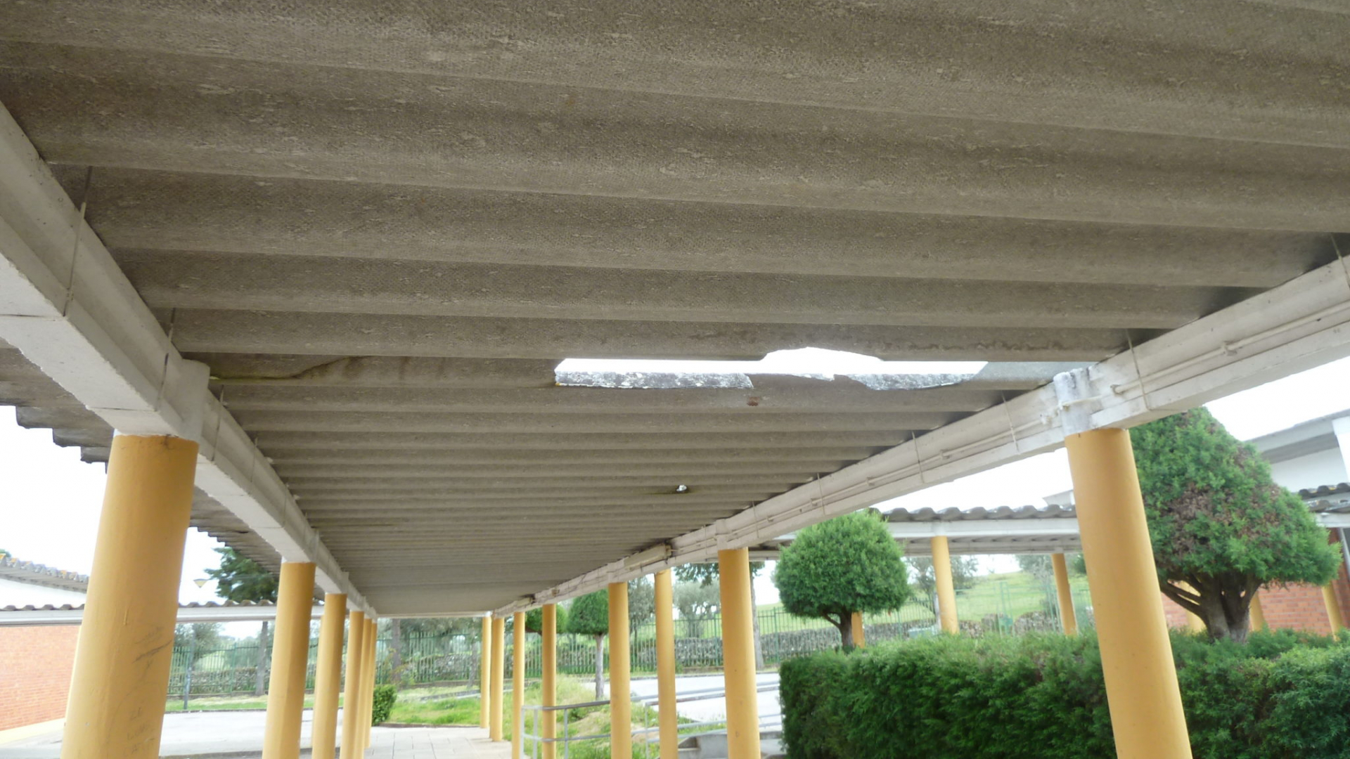 CM Coimbra já lançou todos os concursos para remoção de fibrocimento nas escolas