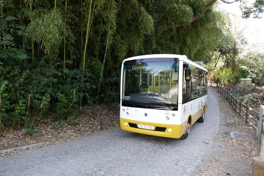 Oferta de transportes públicos adaptada aos novos horários das escolas e da UC