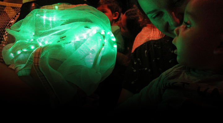 Surmês - ©Joaquim Dâmaso et al