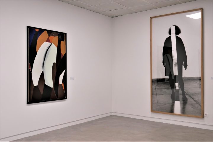 obras Nikias Skapinakis e Helena Almeida