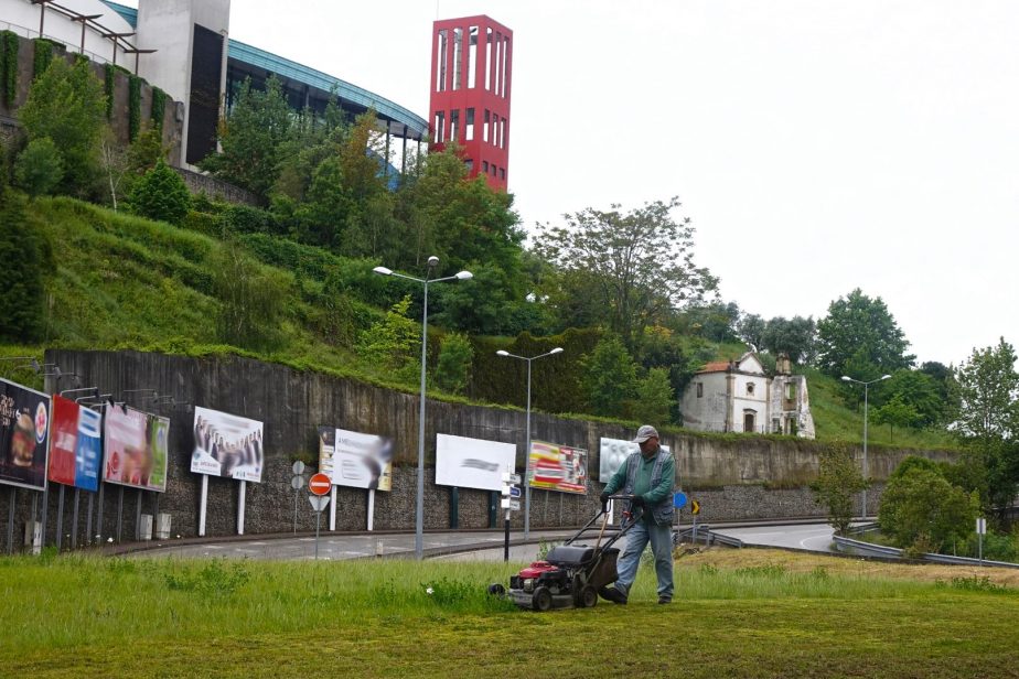 CM Coimbra abre concurso para reforçar manutenção dos espaços verdes