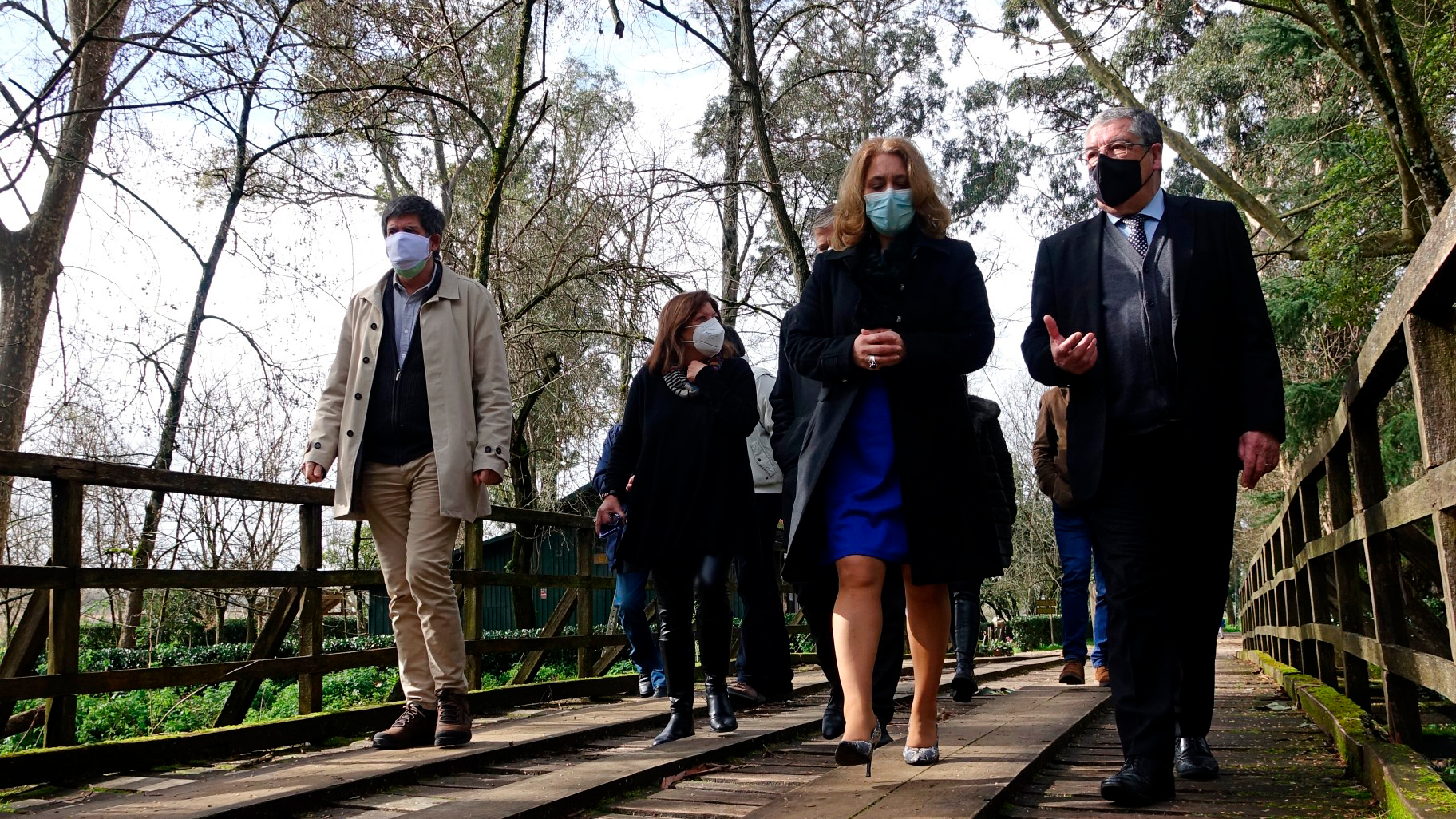 Requalificação da Mata Nacional do Choupal concluída até final de março