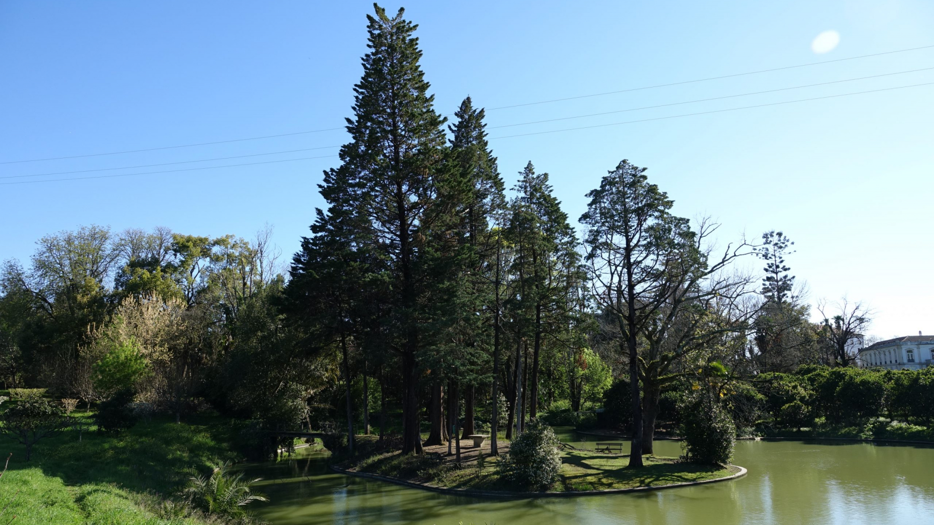 Coimbra avança com cadastro dos prédios rústicos em todo o concelho