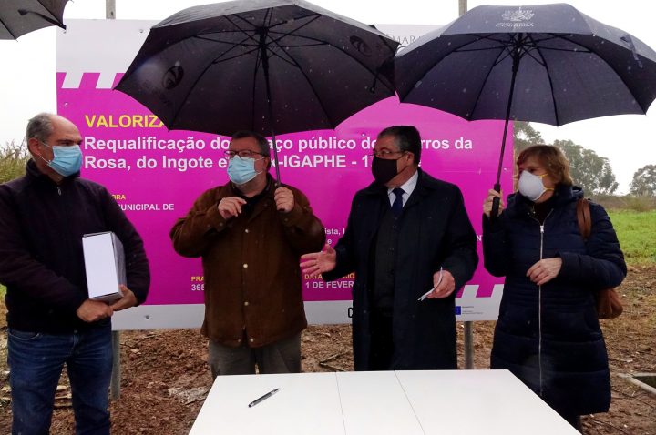 batch_DSC03888 (Custom)