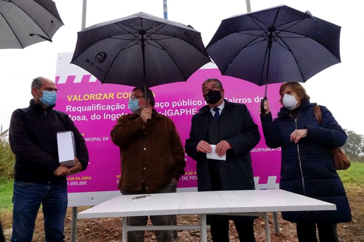 batch_DSC03895 (Custom)