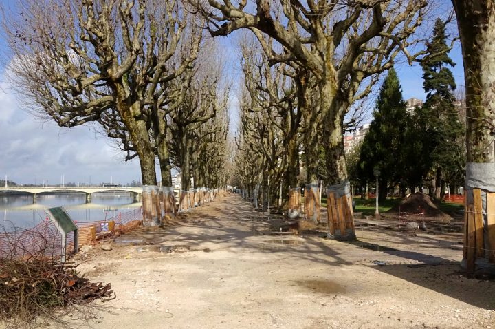 batch_DSC04036 (Custom)