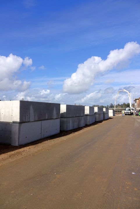 batch_DSC04119 (Custom)