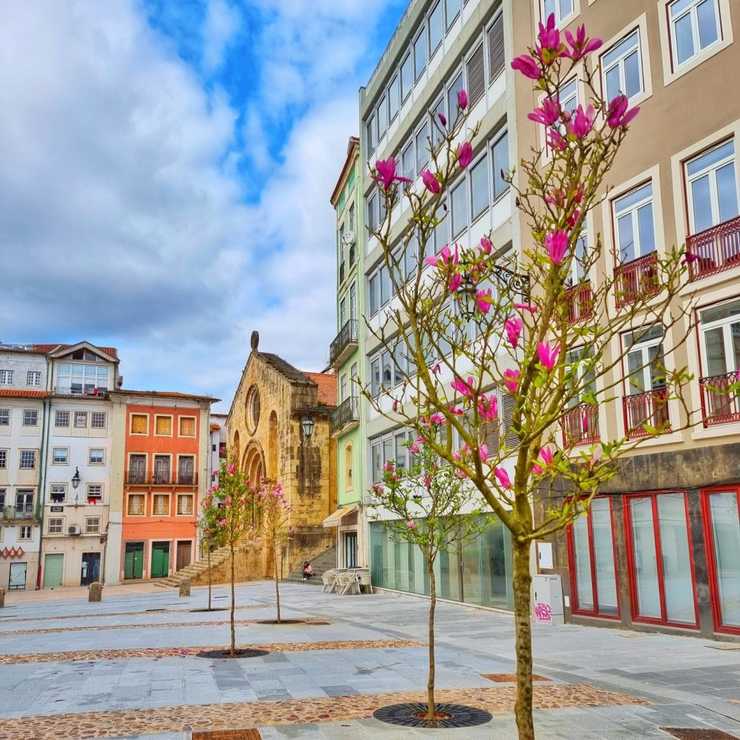 Próxima edição da Feira de Velharias já será na Praça do Comércio