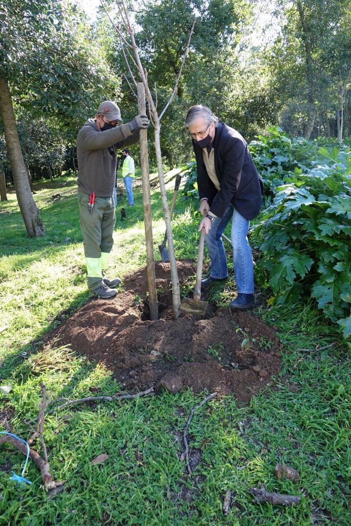 Coimbra celebra Dia Mundial da Árvore com a plantação de duas centenas de exemplares