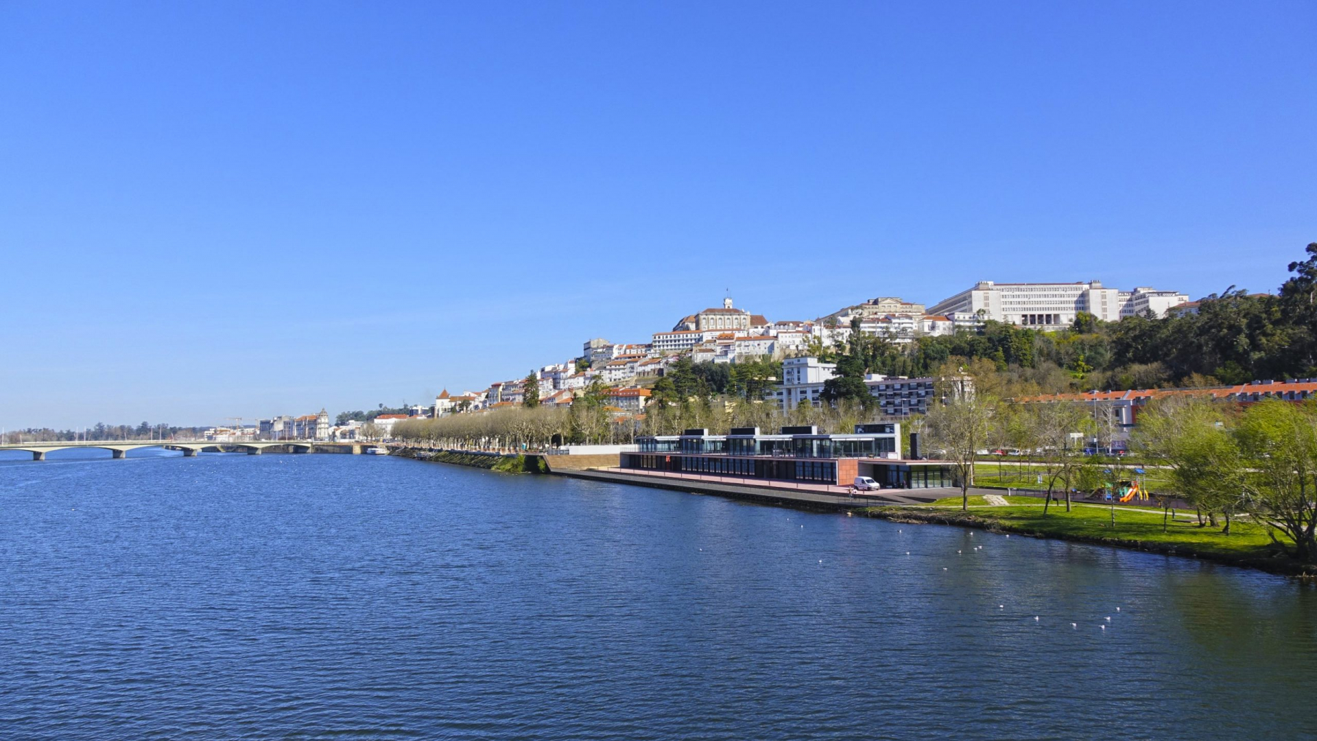 Câmara abre concurso para exploração de espaço de bar e restaurante no Parque Verde do Mondego