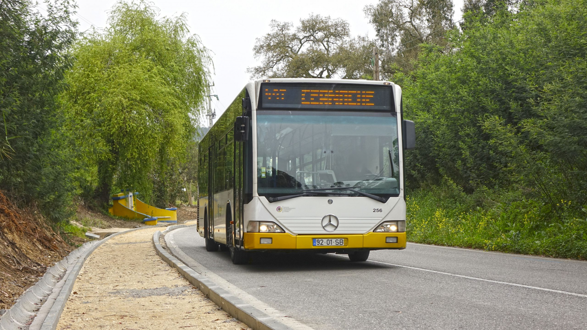 Câmara de Coimbra avança com plano de testagem aos trabalhadores dos SMTUC