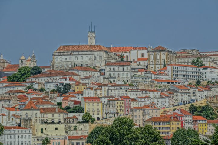 GPC00416
