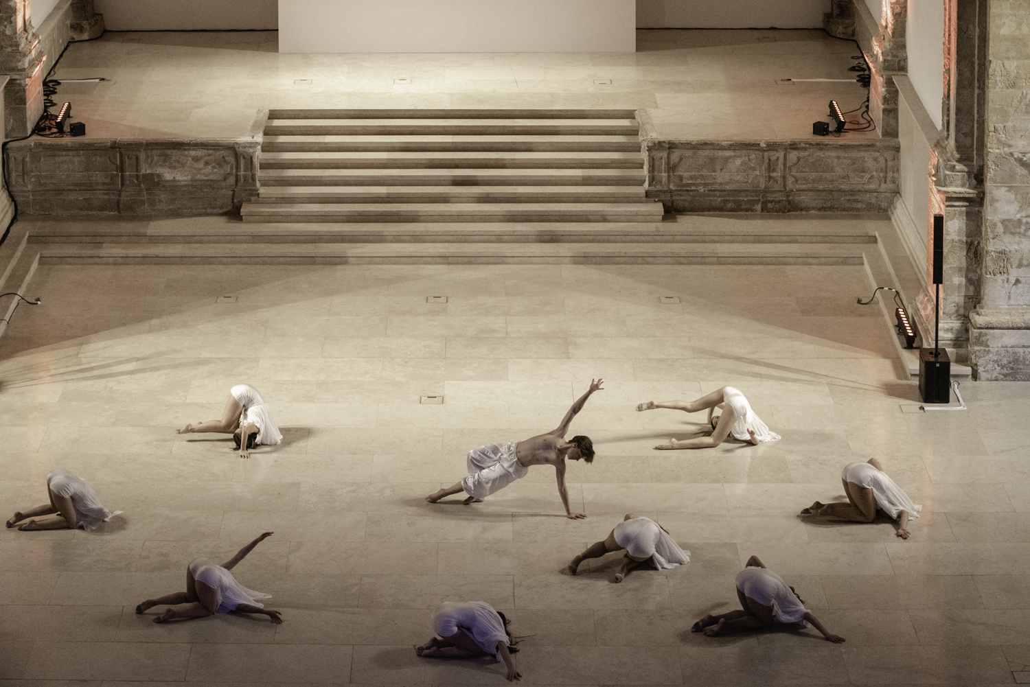 Coimbra vai ter uma companhia profissional de dança antes de 2027