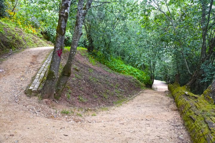 penedo da saudade (3)