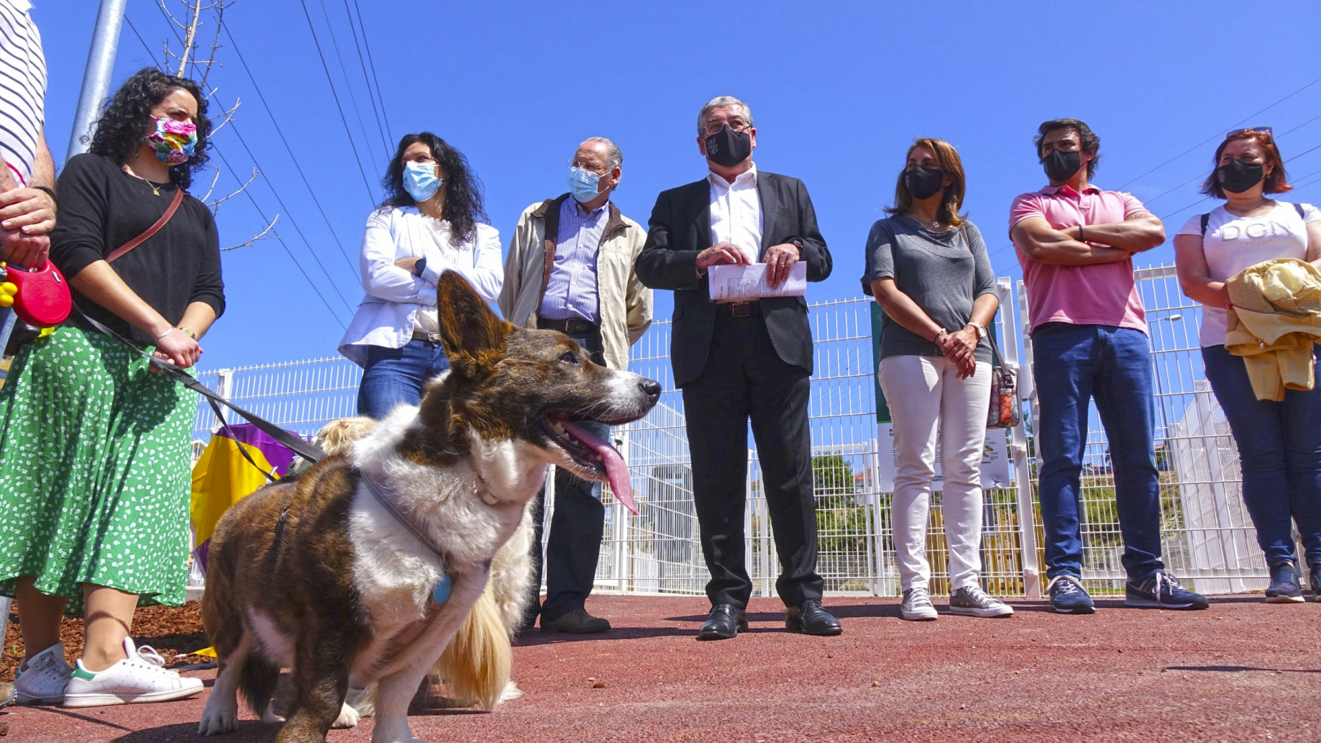 Coimbra já tem um Parque Canino Municipal