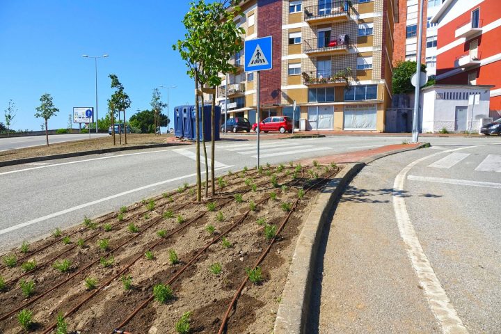 181553834_4201908879854464_6758587666659330785_n