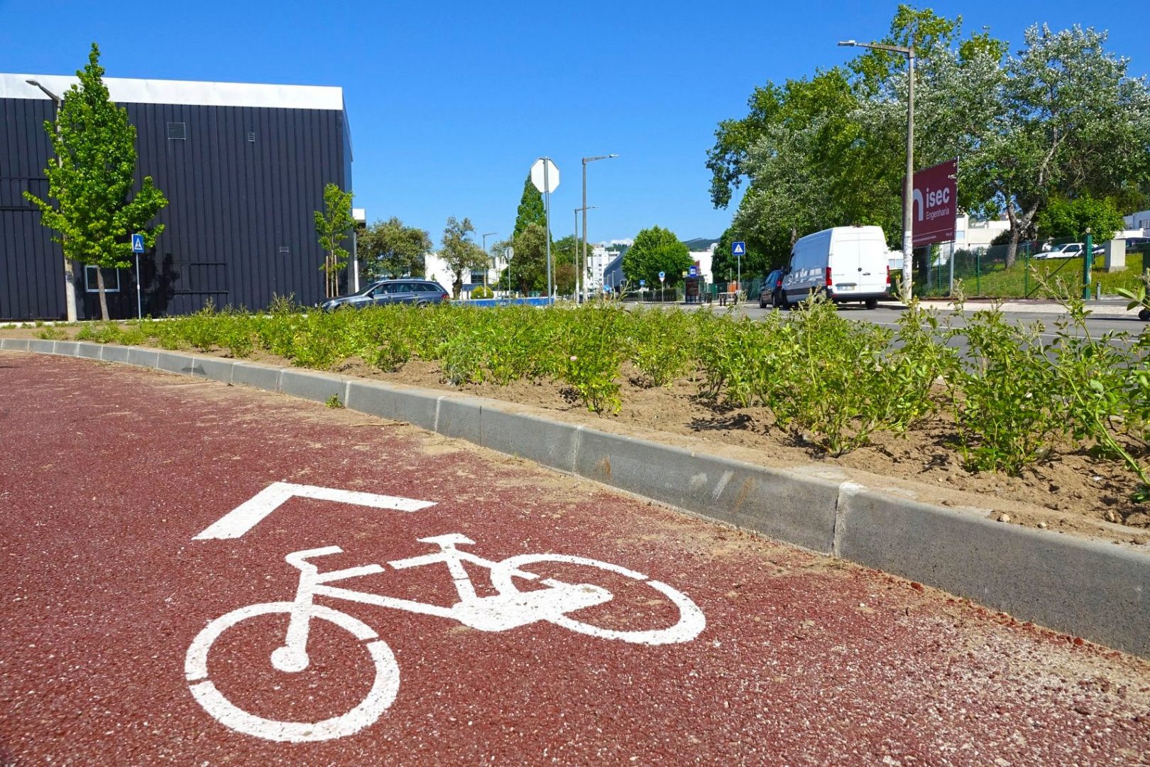 Serviços municipais reabilitam espaços verdes por todo o concelho