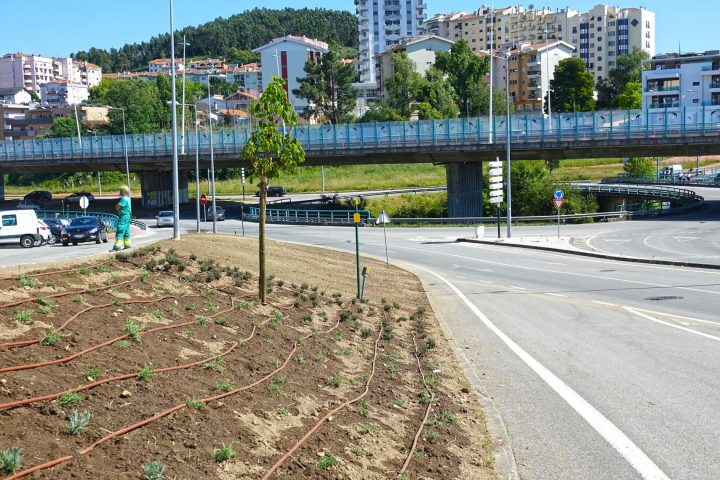 182640089_4201908556521163_3380885840753084959_n