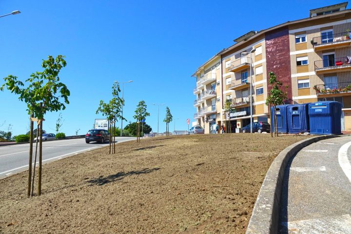 182666290_4201908696521149_3457704940152010980_n