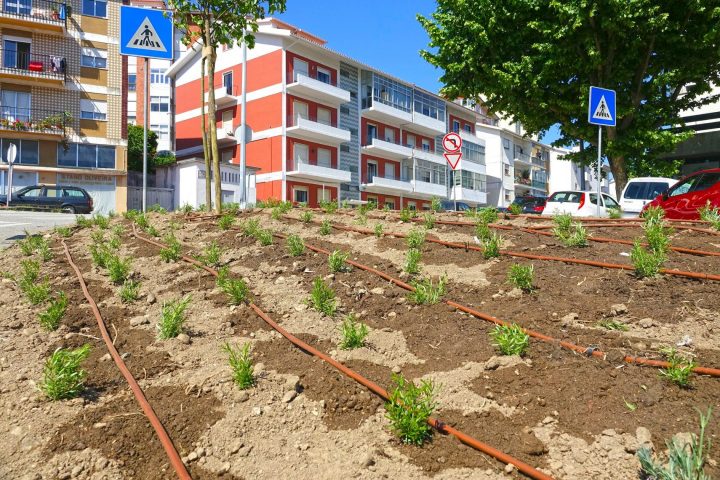 182756247_4201908719854480_5095502610816868071_n