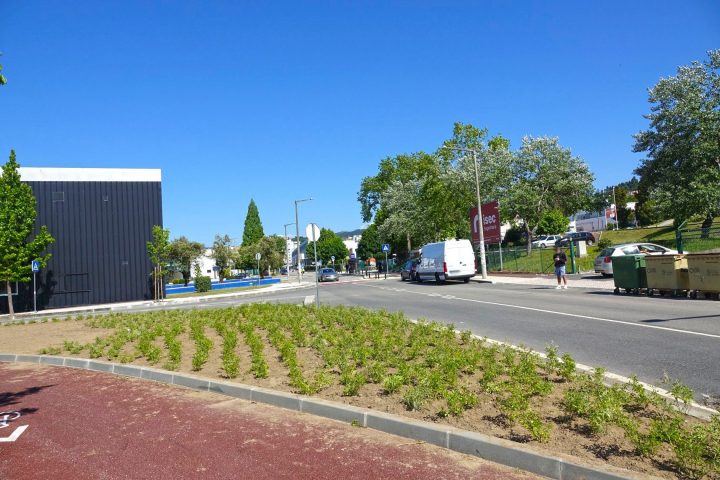 182783643_4201908546521164_9020710852222349681_n