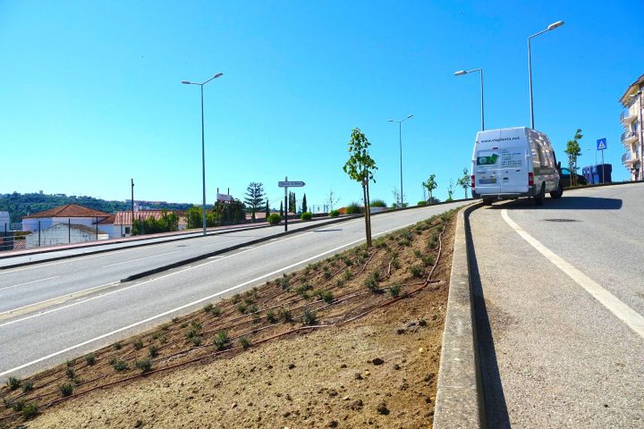 183116939_4201908706521148_5591508684140765456_n