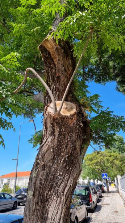 20210517_111923 (Custom) (Custom)