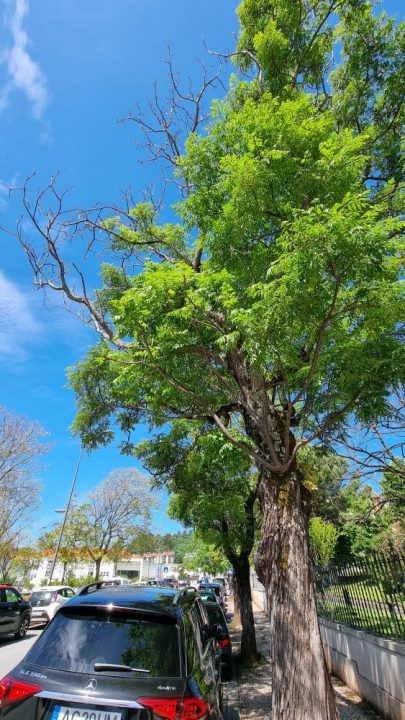 20210517_112026 (Custom) (Custom)