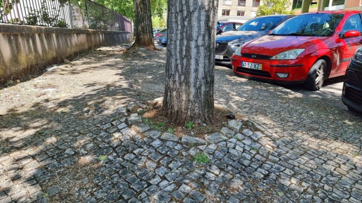 20210517_112440 (Custom) (Custom)