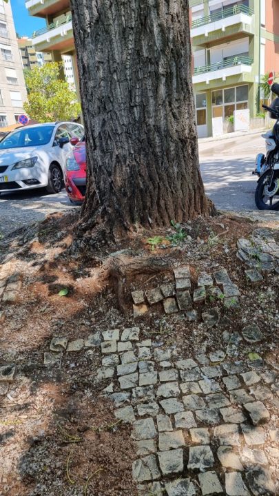 20210517_112501 (Custom) (Custom)