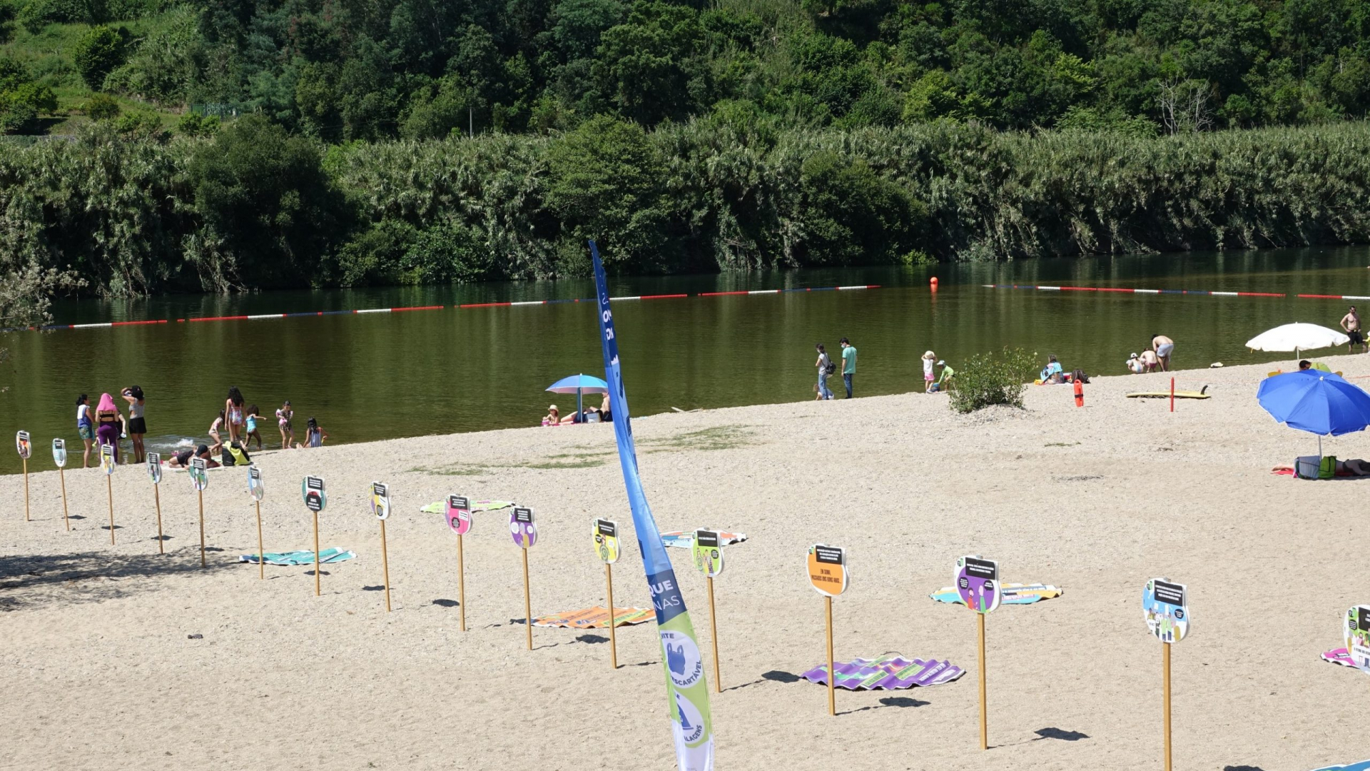 Dia Mundial do Ambiente assinalado com iniciativas na praia do Rebolim