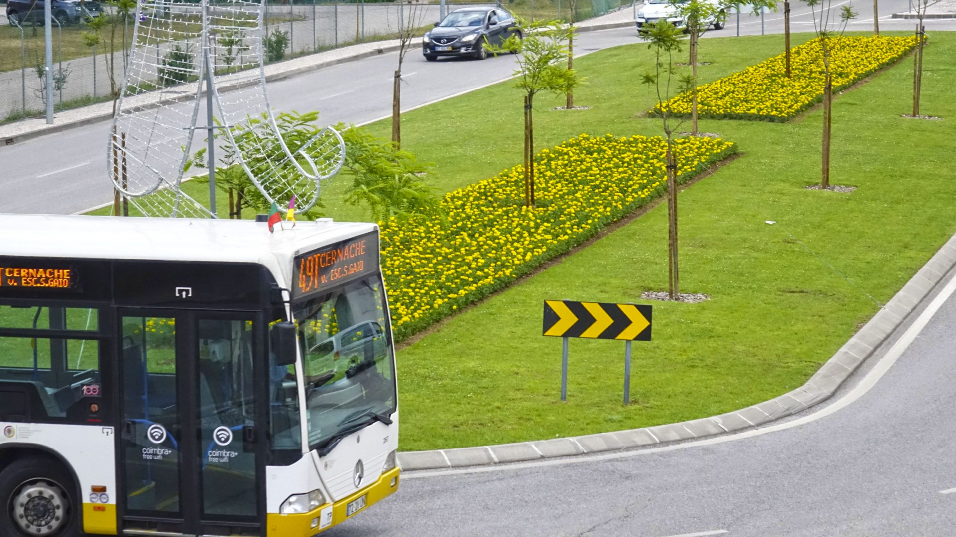 Coimbra investe 4M€ para proporcionar transporte escolar gratuito no próximo ano letivo