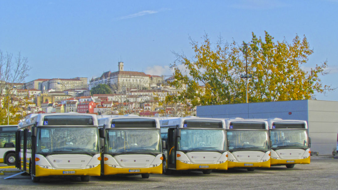 Câmara de Coimbra cria passe de transporte gratuito para antigos combatentes