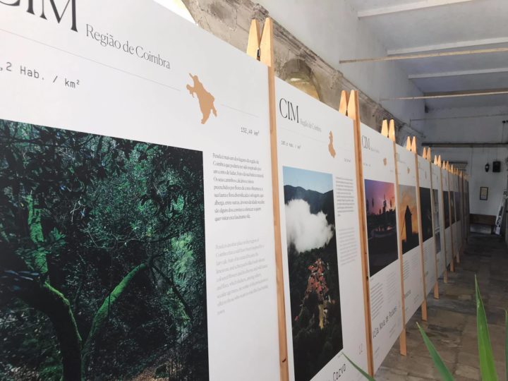 Novos Olhares_ Coimbra_1