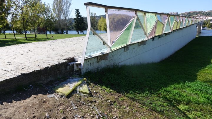 Ponte Pedro e Inês (6)