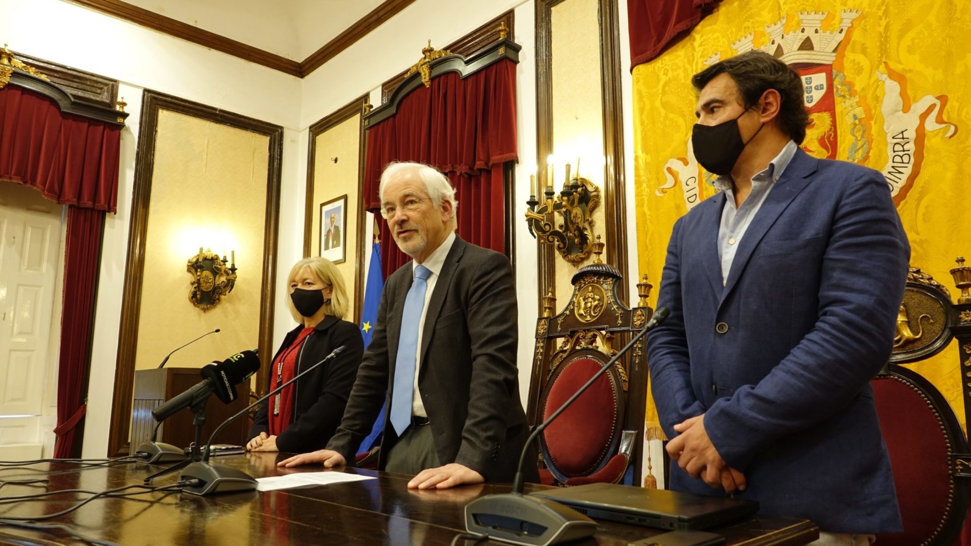 Abate de oito árvores será compensado com plantação de 68 novas espécies na Rua General Humberto Delgado