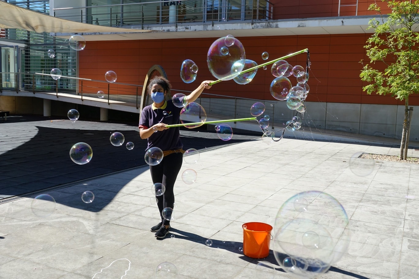 Exploratório de Coimbra vai criar primeira Escola Ciência Viva no pré-escolar com apoio da Câmara