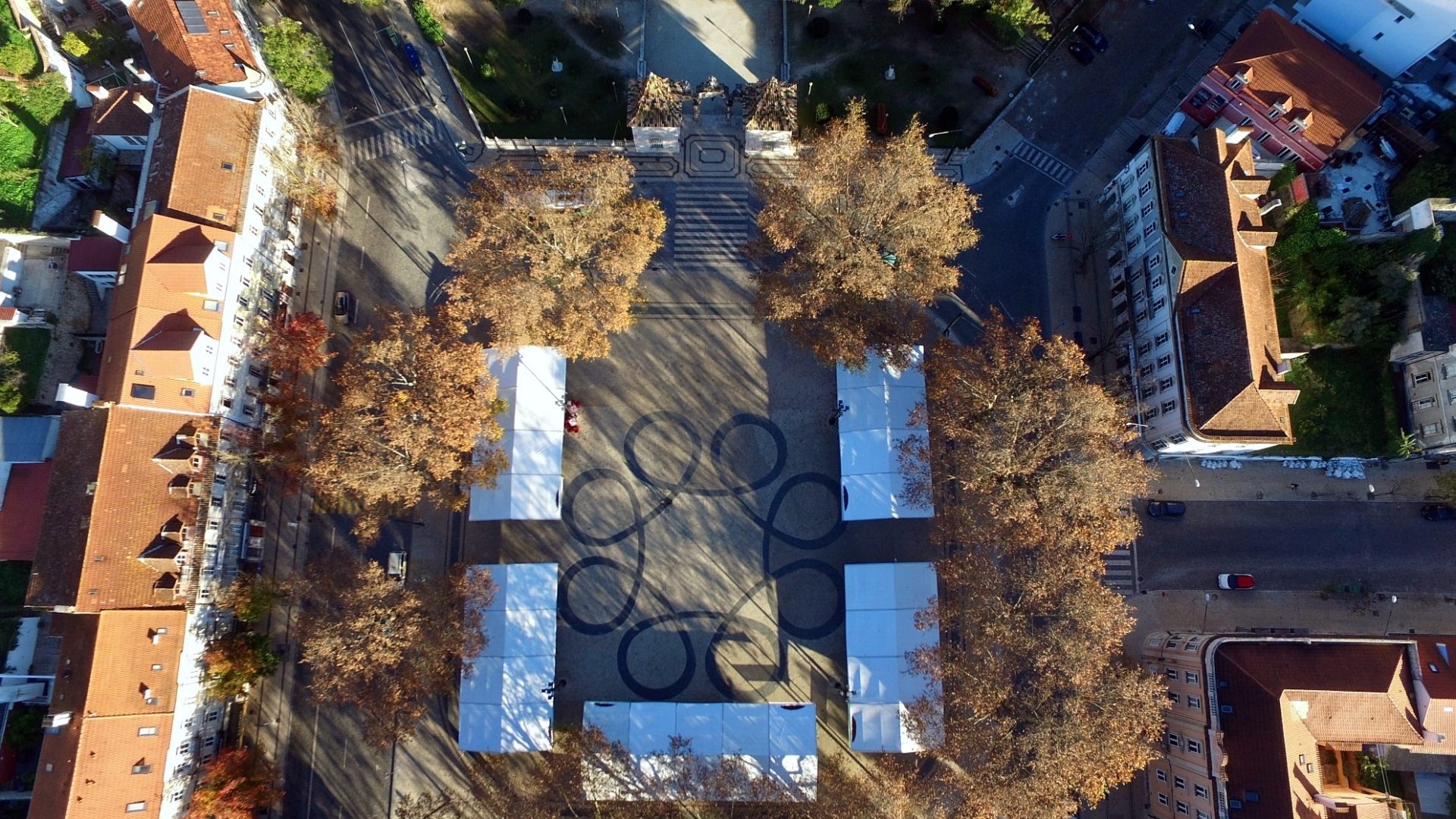 CM de Coimbra e UC abrem amanhã posto de testagem gratuito à COVID-19