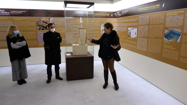 DSC00336 (Custom) (Custom)